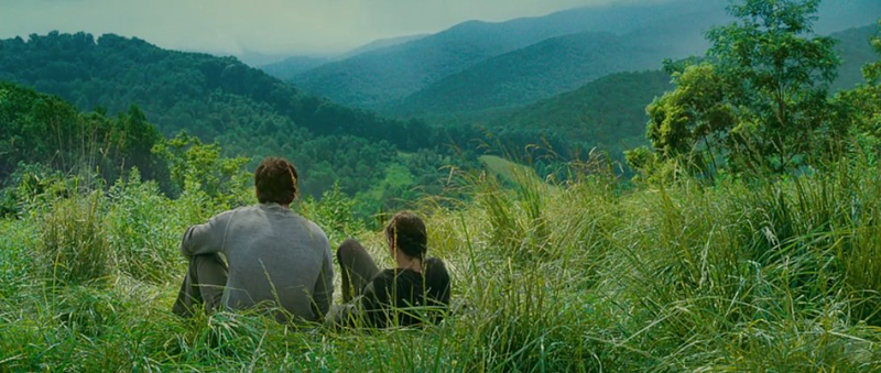 Illustration for article titled Everything You Missed in the Hunger Games Trailer: 40 Awesome Images!